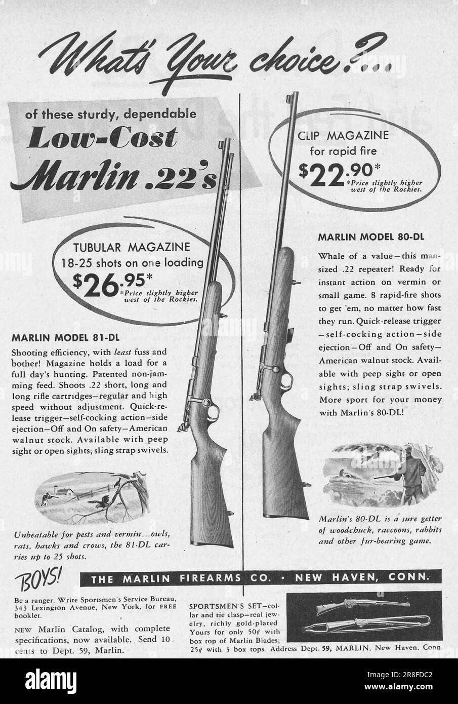 Marlin firearms advert; Marlin 81-DL .22's rifles ad in a magazine 1949 Stock Photo