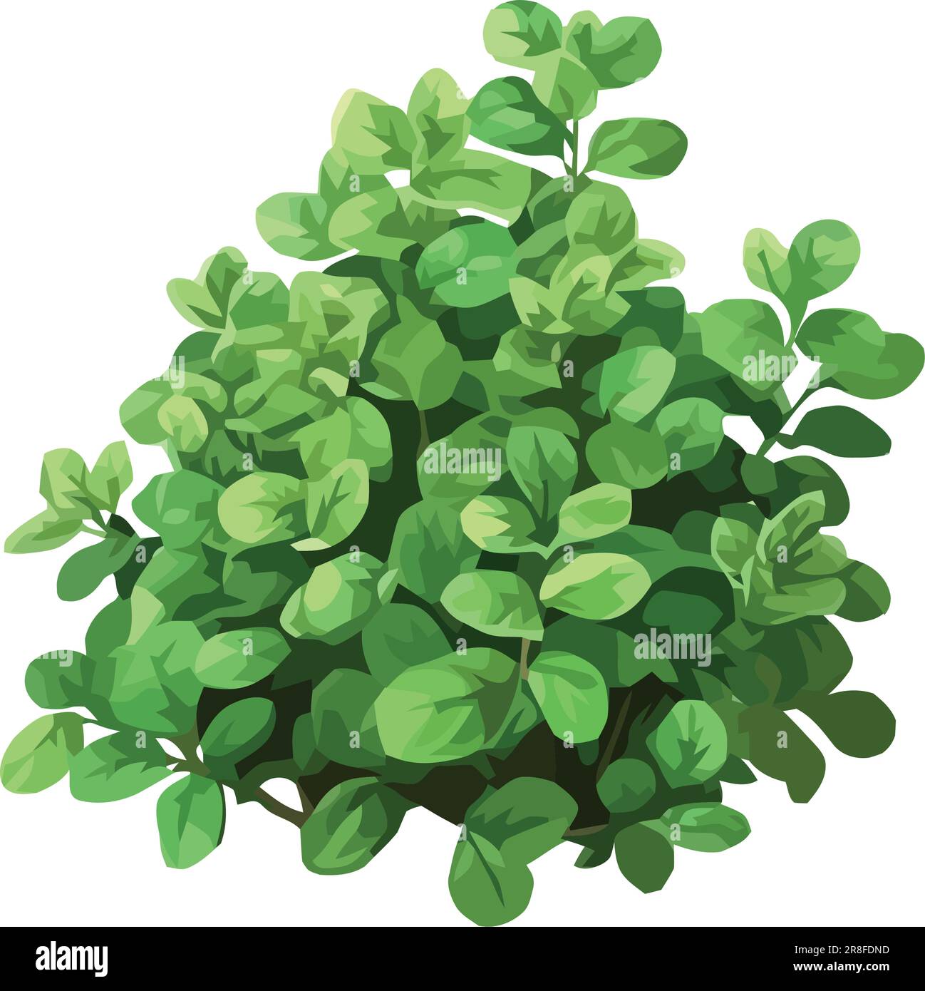 Fresh green leaves of springtime tree branch Stock Vector Image & Art ...