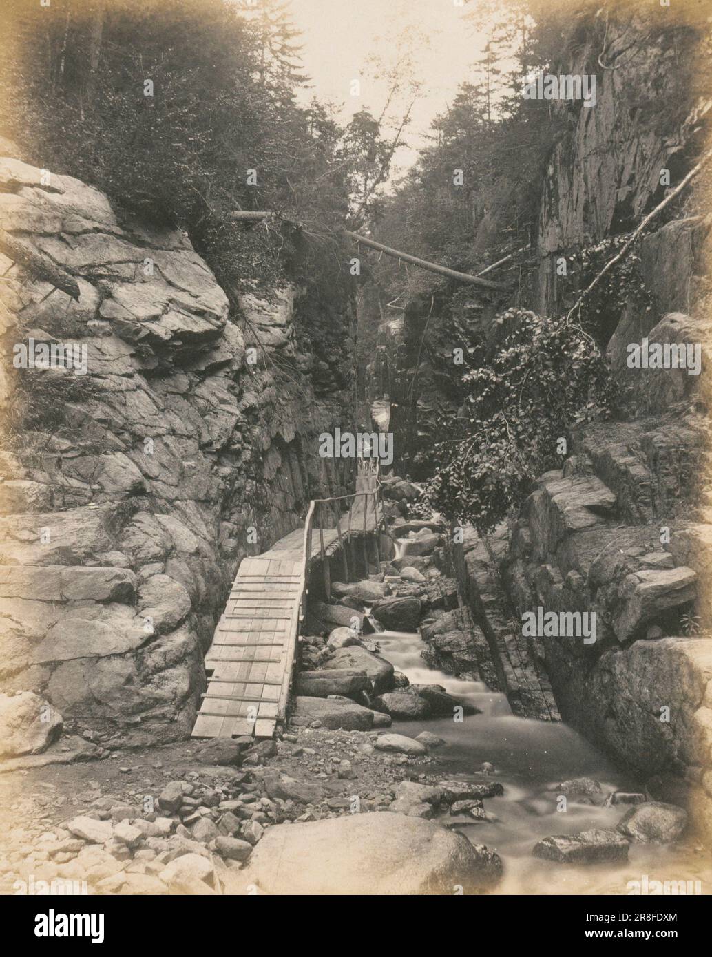Walkway through a Gorge, White Mountains ca. 1890 by Charles L. Mitchell, active 1890-1905 Stock Photo