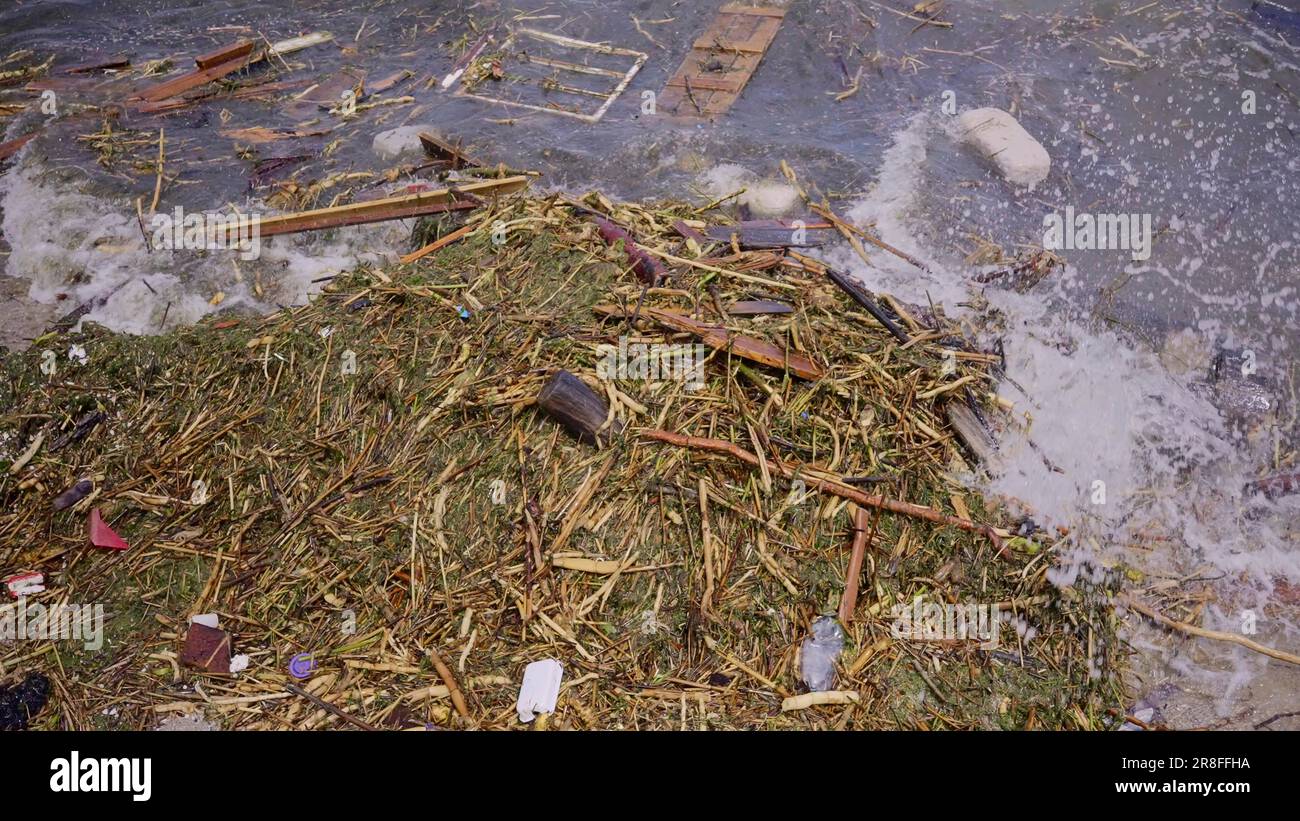 Window frame of house and other drifting debris has reached Black Sea ...