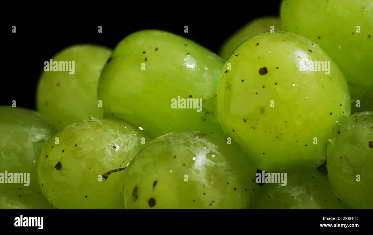 Close up of bunch of green grapes with water drops on black background Stock Photo