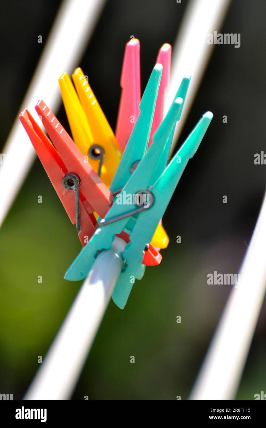 Colourful plastic clothes pegs Stock Photo