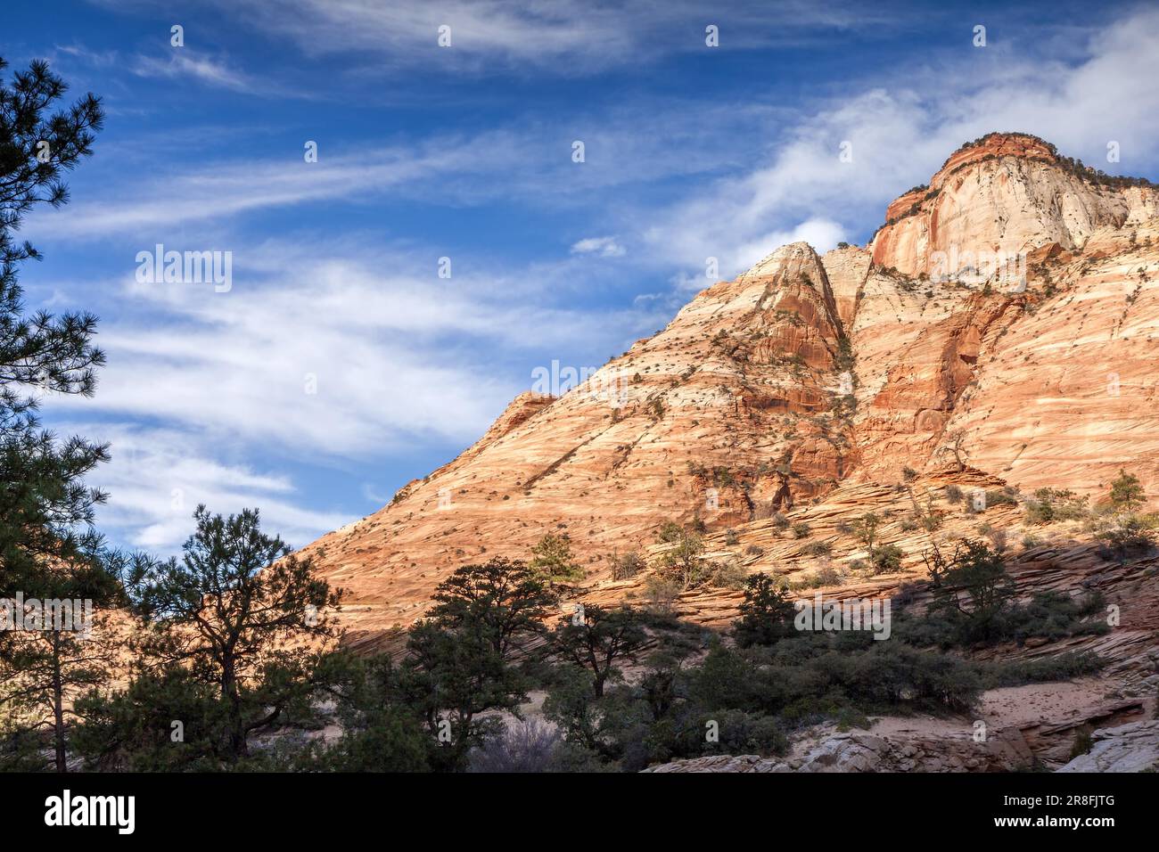 Checkerboard formation hi-res stock photography and images - Alamy