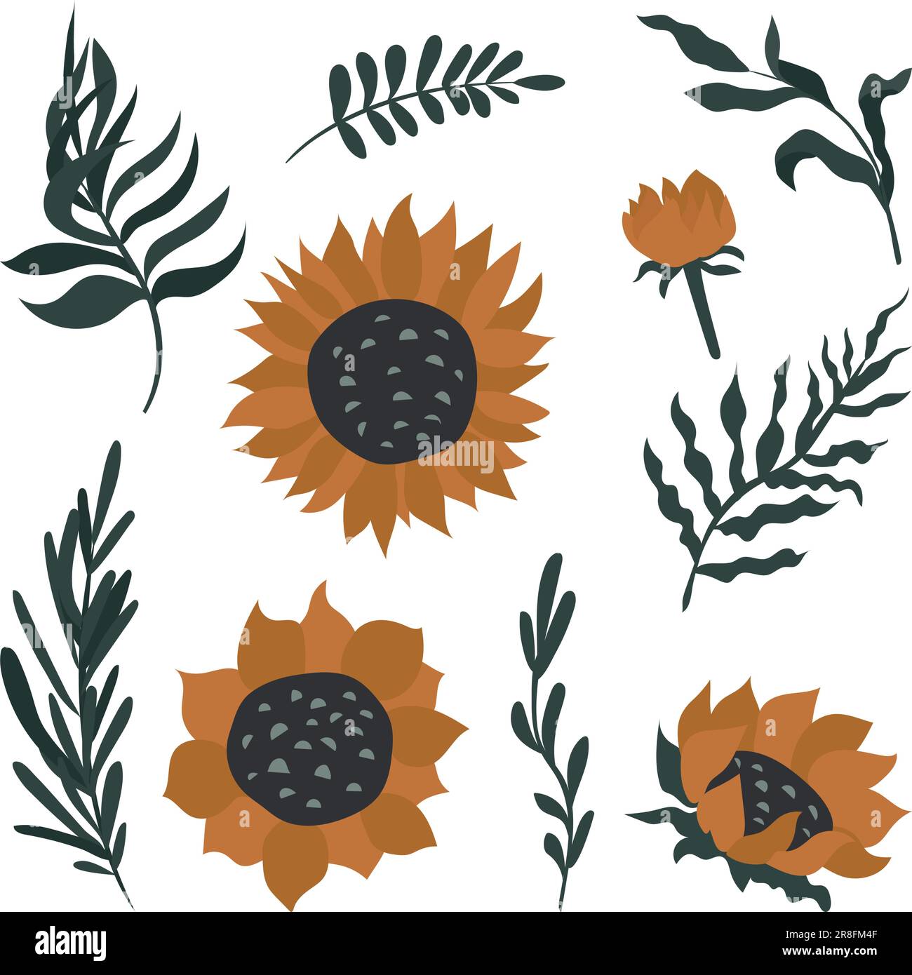Sunflower vector set isolated on white background. Stock Vector