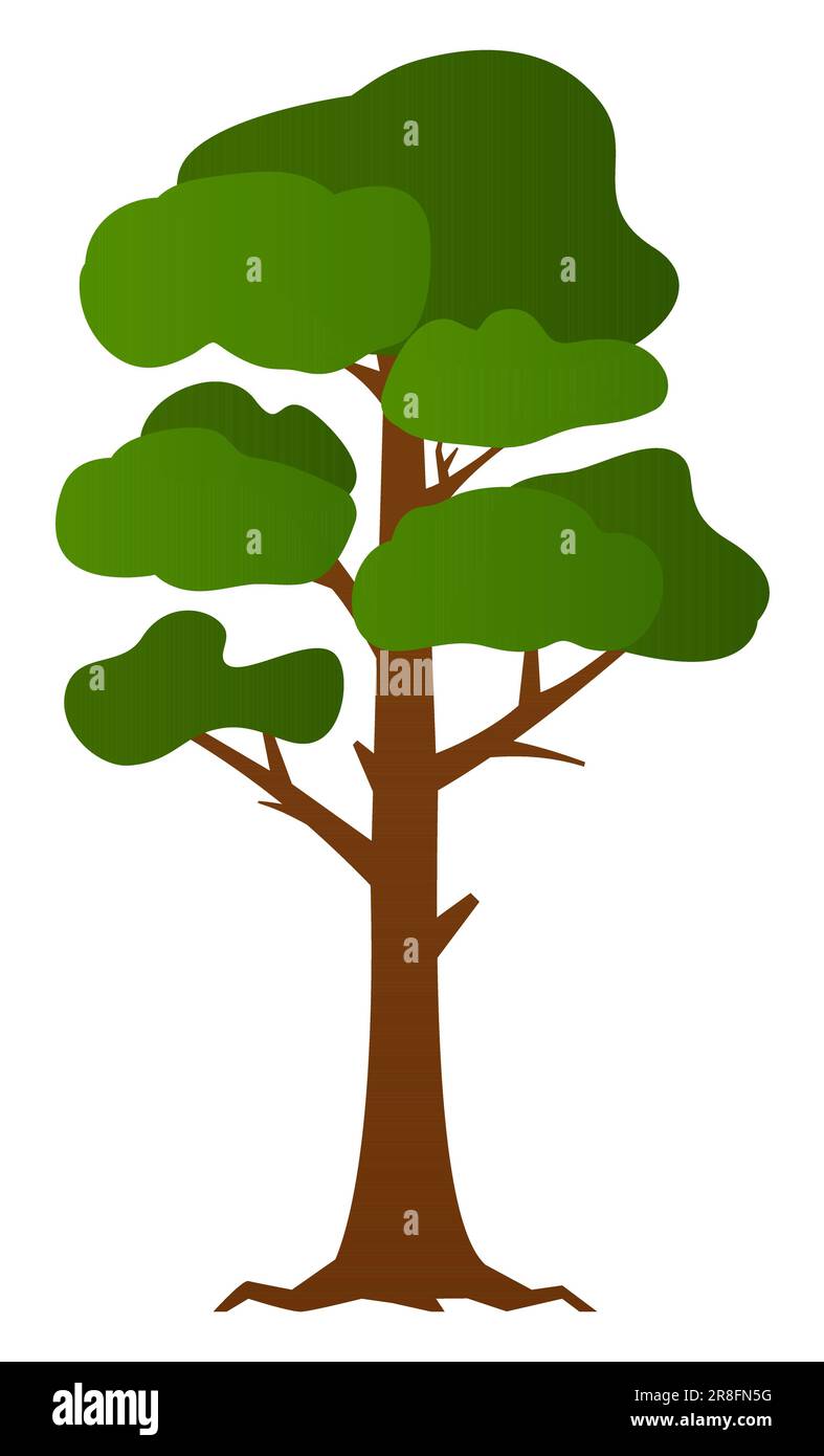 Tall deciduous tree modern flat design style single isolated image