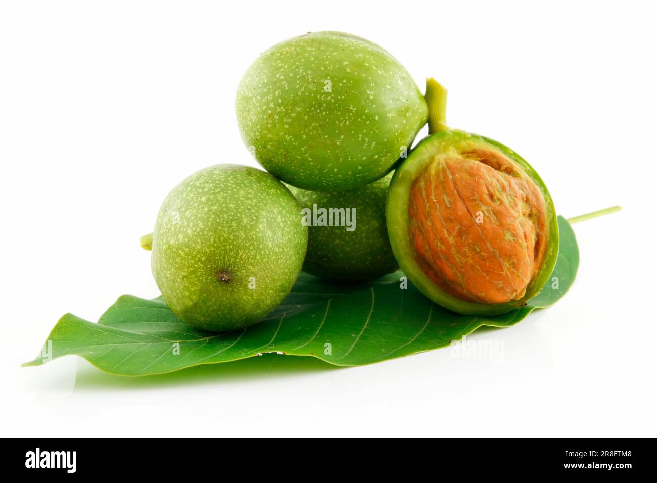 Wallnuts Not Ripe Ripe Broken Walnuts with Green Leaves Isolated on White Background ...