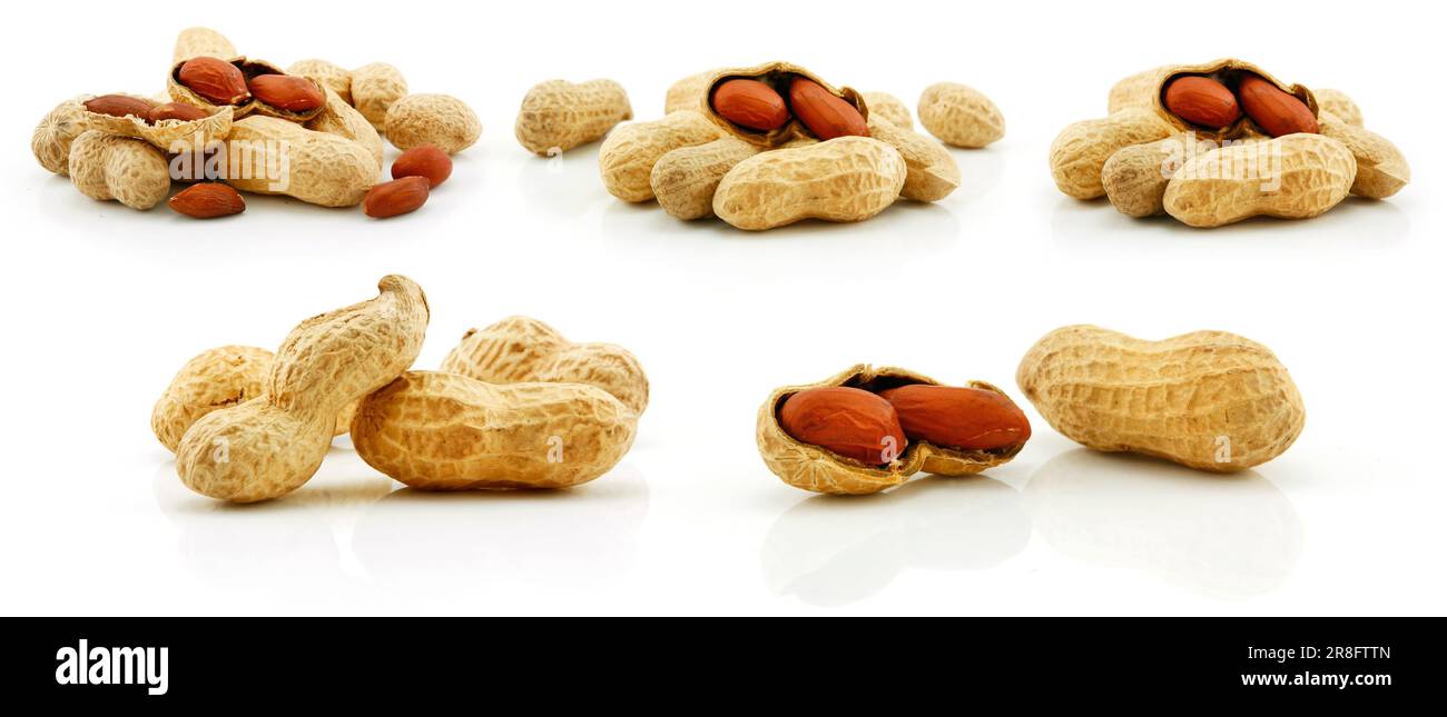 Set of Ripe Dried Peanut Fruits Isolated on White Background Stock ...