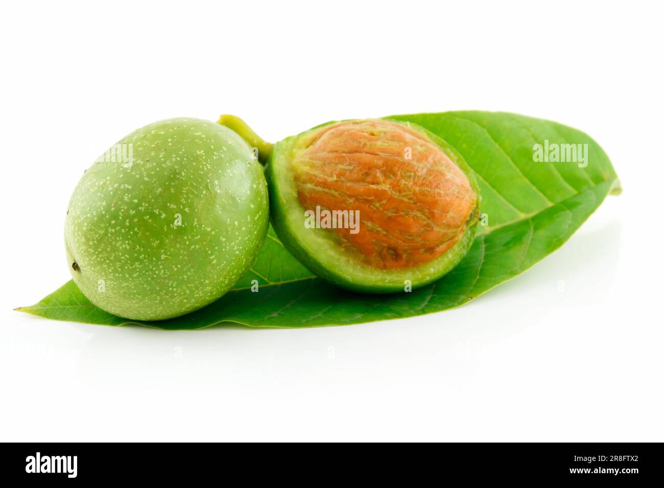Wallnuts Not Ripe Ripe Broken Walnuts with Green Leaves Isolated on White Background ...