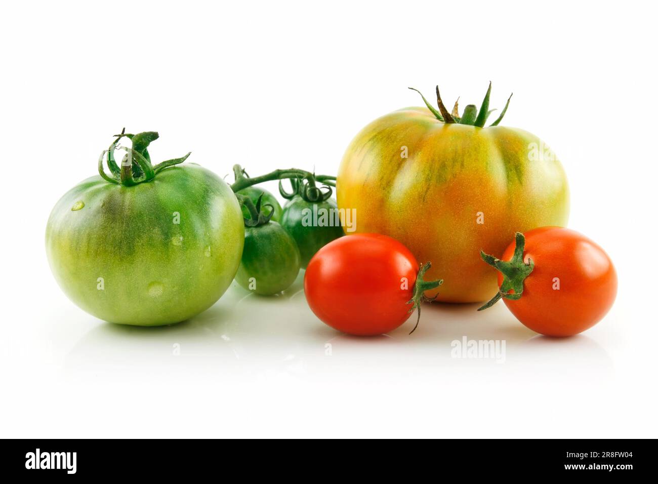 Ripe Wet Red and Yellow Tomatoes Isolated on White Background Stock ...