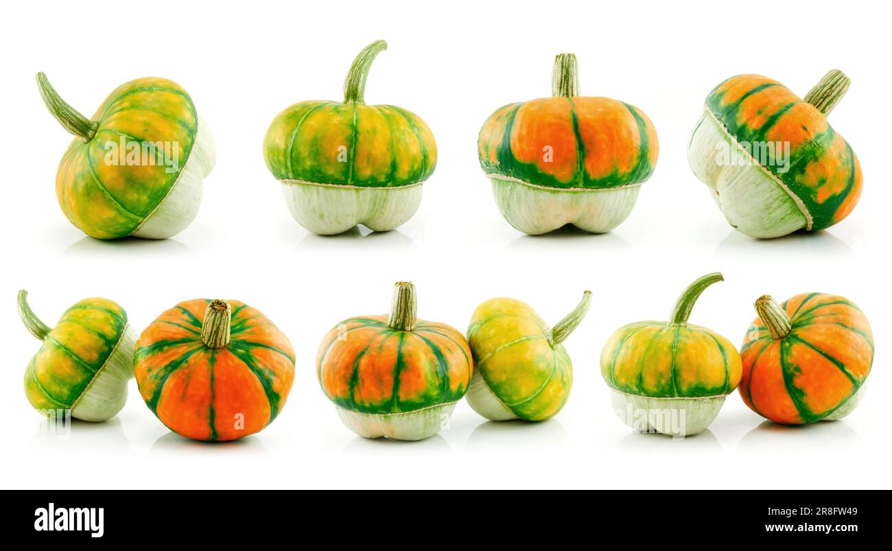 Hybrid pumpkin hi-res stock photography and images - Alamy