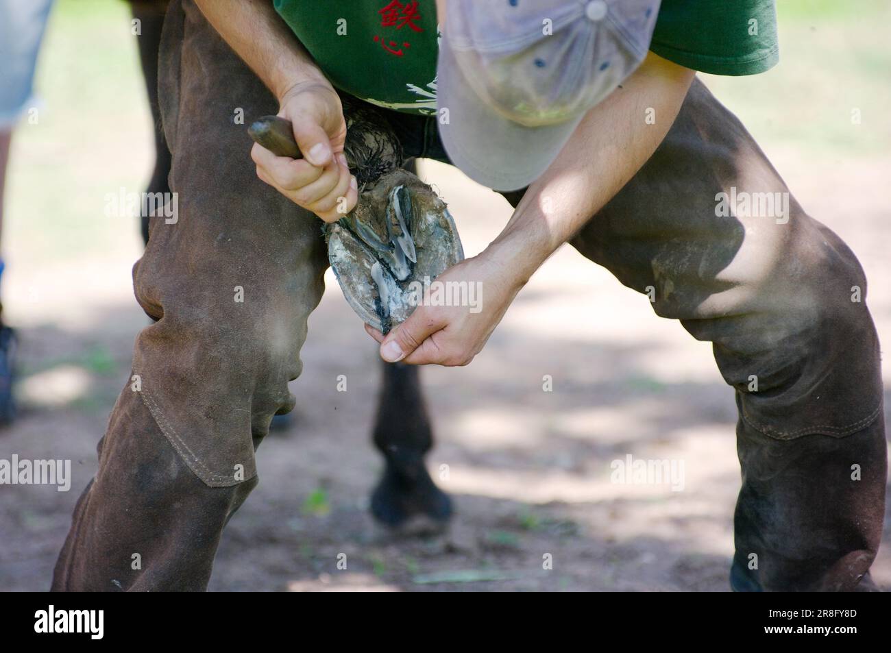 Hoof care for horses, cleaning hooves, hoof care, hoof scraping, horse