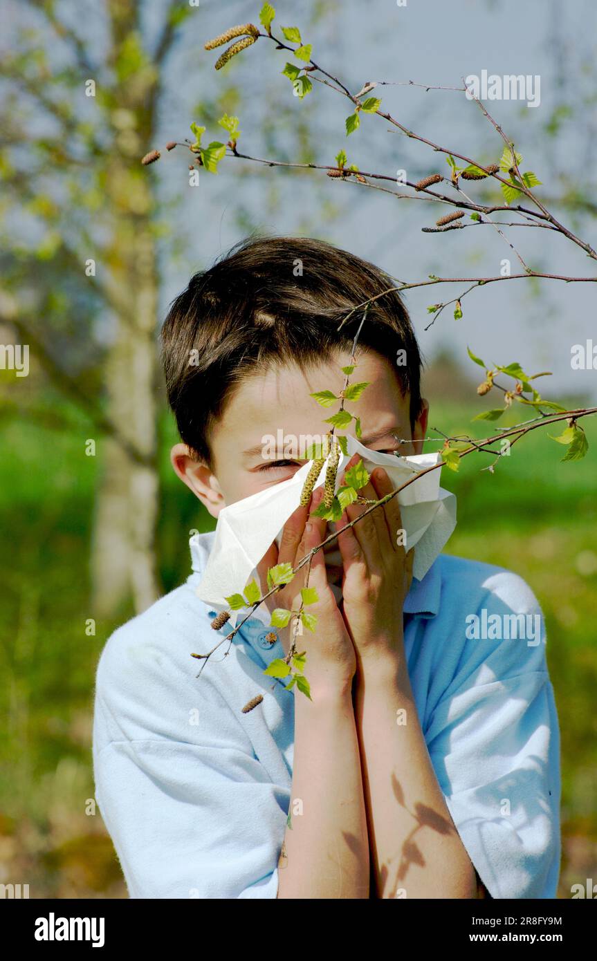 Boy with hay fever sneezes, sneezing, handkerchief, Tempo, allergy, birch, birch pollen, pollen allergy Stock Photo