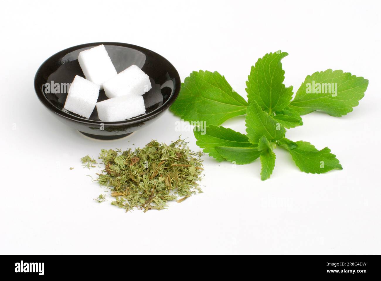 Steviasugar leaf (Stevia rebaudiana) and sugar cubes Stock Photo Alamy