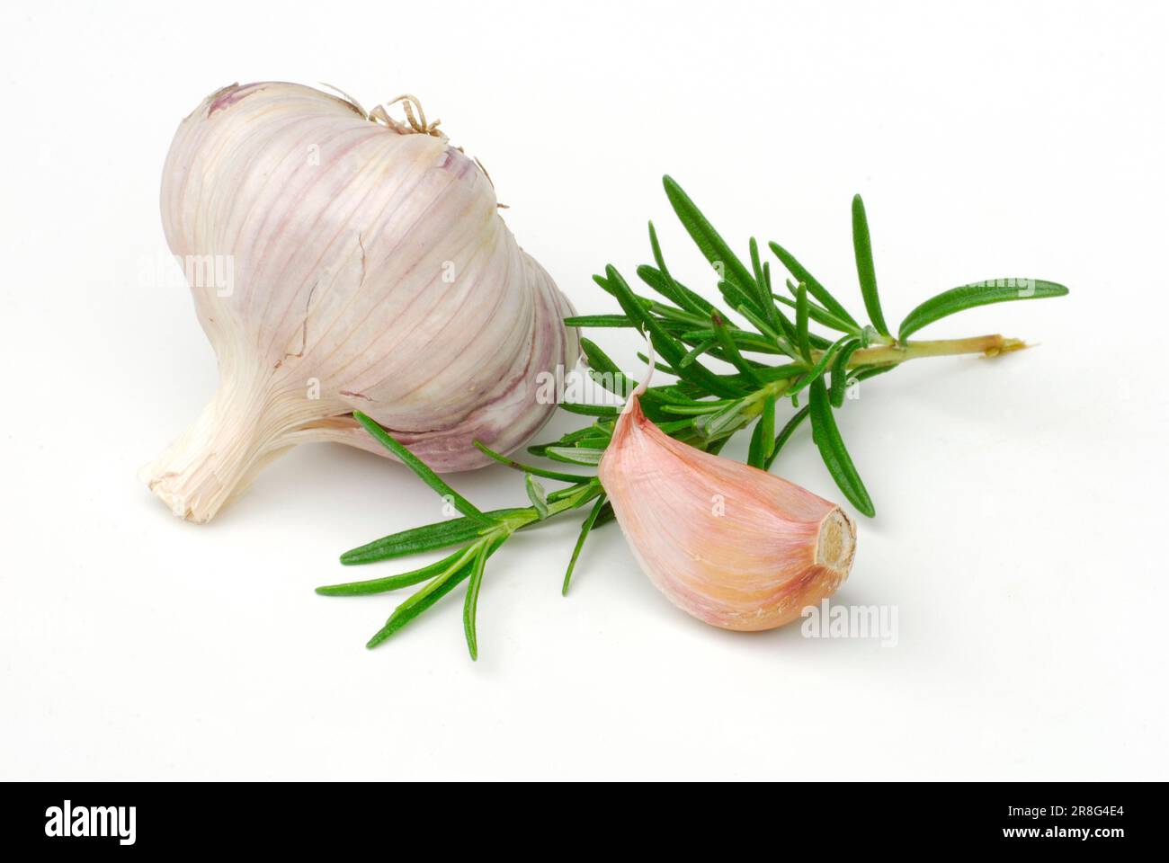 Garlic (Allium sativum) and Rosemary (Rosmarinus officinalis) Stock Photo