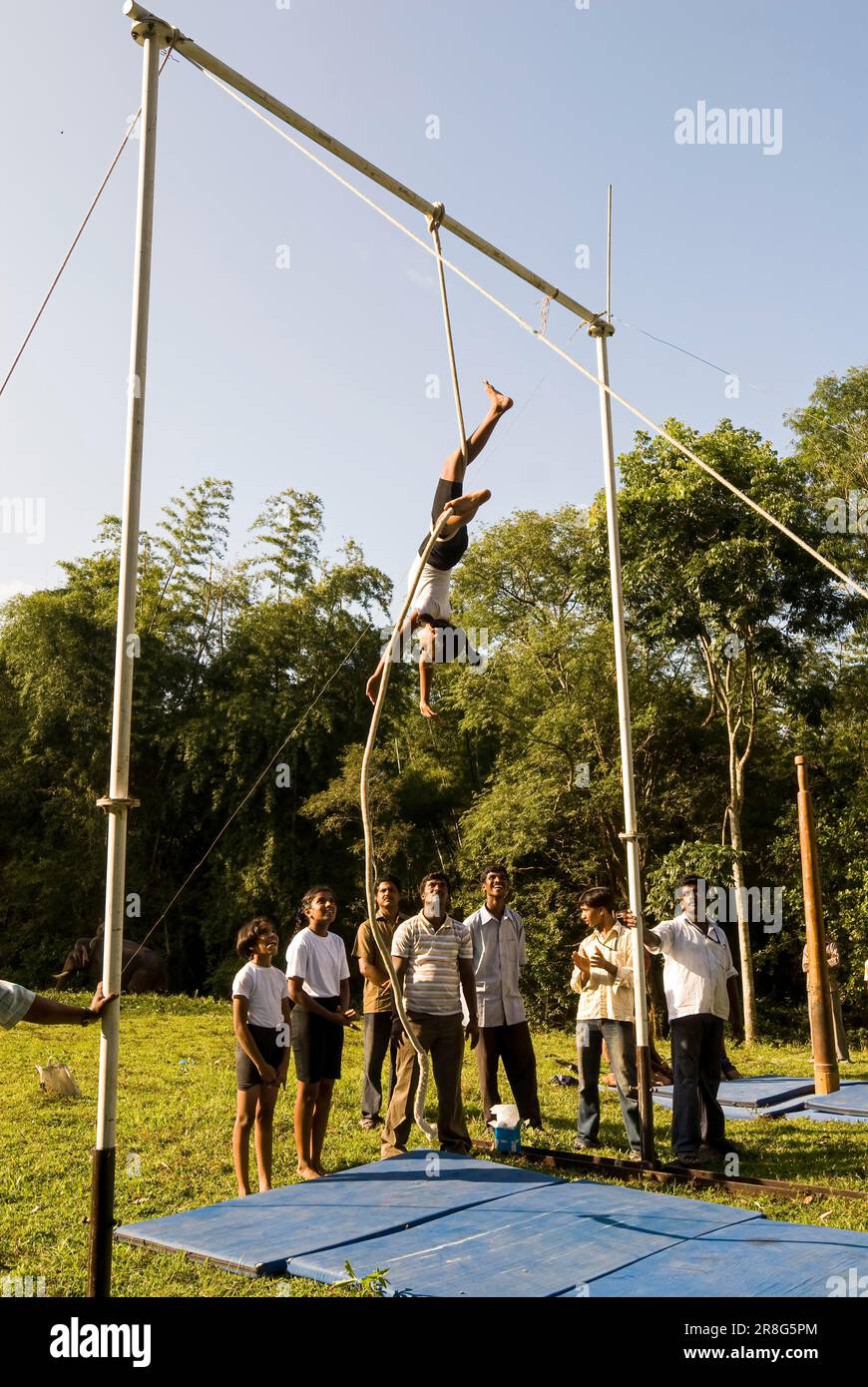 https://c8.alamy.com/comp/2R8G5PM/a-girl-performing-indian-pole-gymnastics-mallakhamba-mallakhamb-is-an-ancient-indian-sport-while-hanging-rope-during-the-elephants-day-celebration-2R8G5PM.jpg