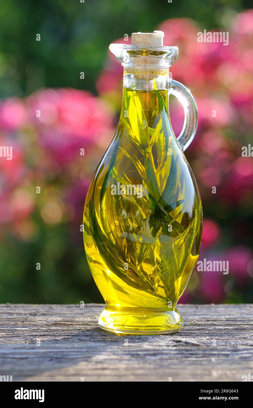 Herb oil with tarragon (Artemisia dracunculus) (Artemisia dranunculus