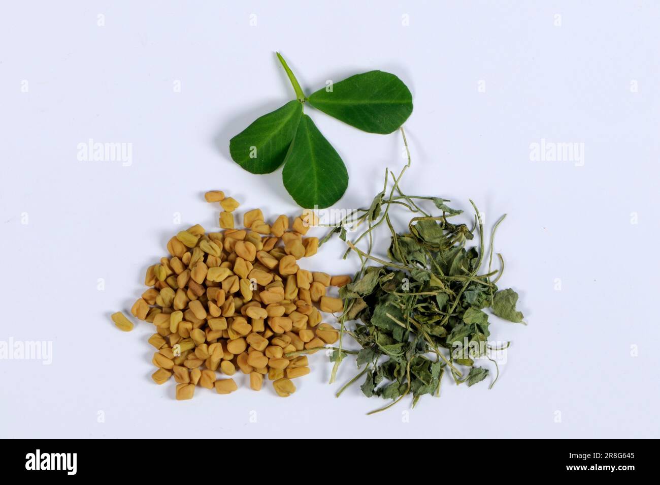 Fenugreek seeds and dried leaves, Fenugreek seeds, Greek fenugreek (Trigonella foenum-graecum), Greek hay, Fescue clover, Siebengezeit, Goat's clover Stock Photo