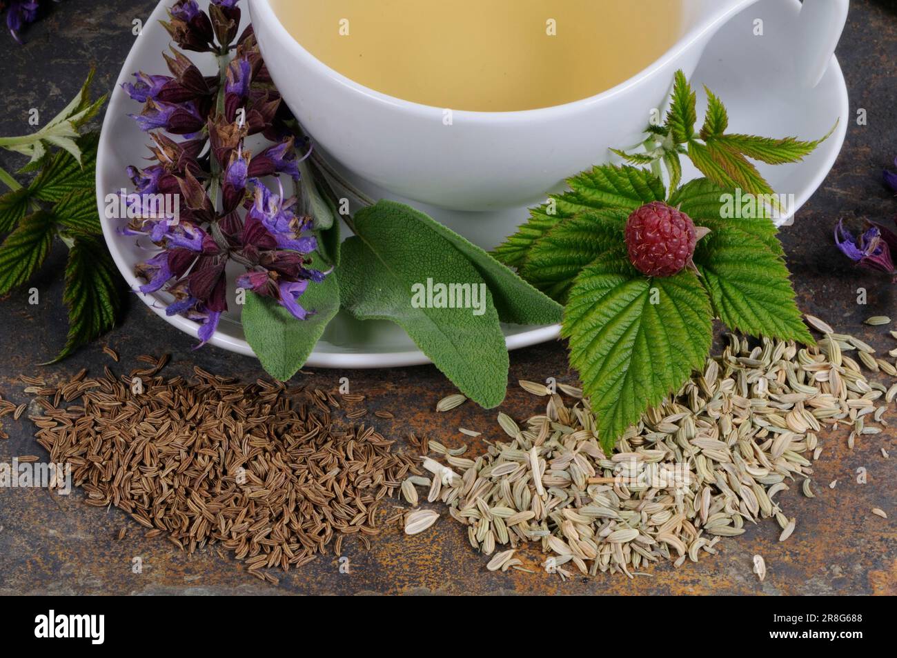 Caraway fennel hires stock photography and images Alamy