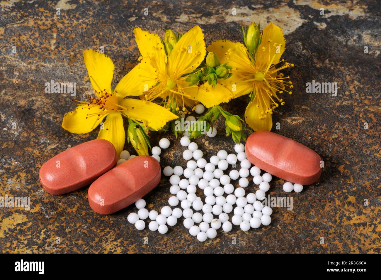 Common St John's wort (Hypericum perforatum), globules and tablets