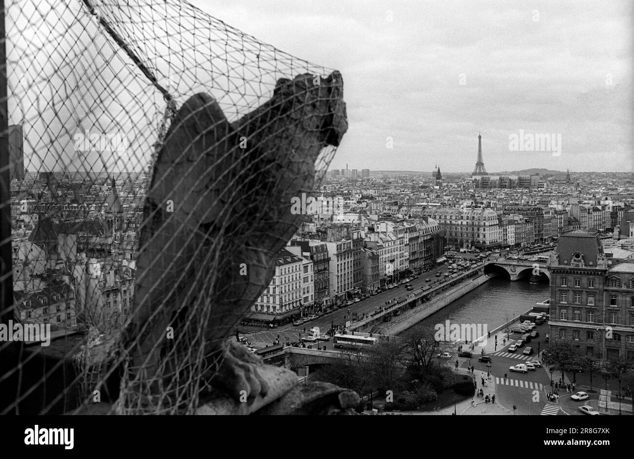 France, Paris, 24.03.1990, mythical creatures on the towers of Notre-Dame Stock Photo