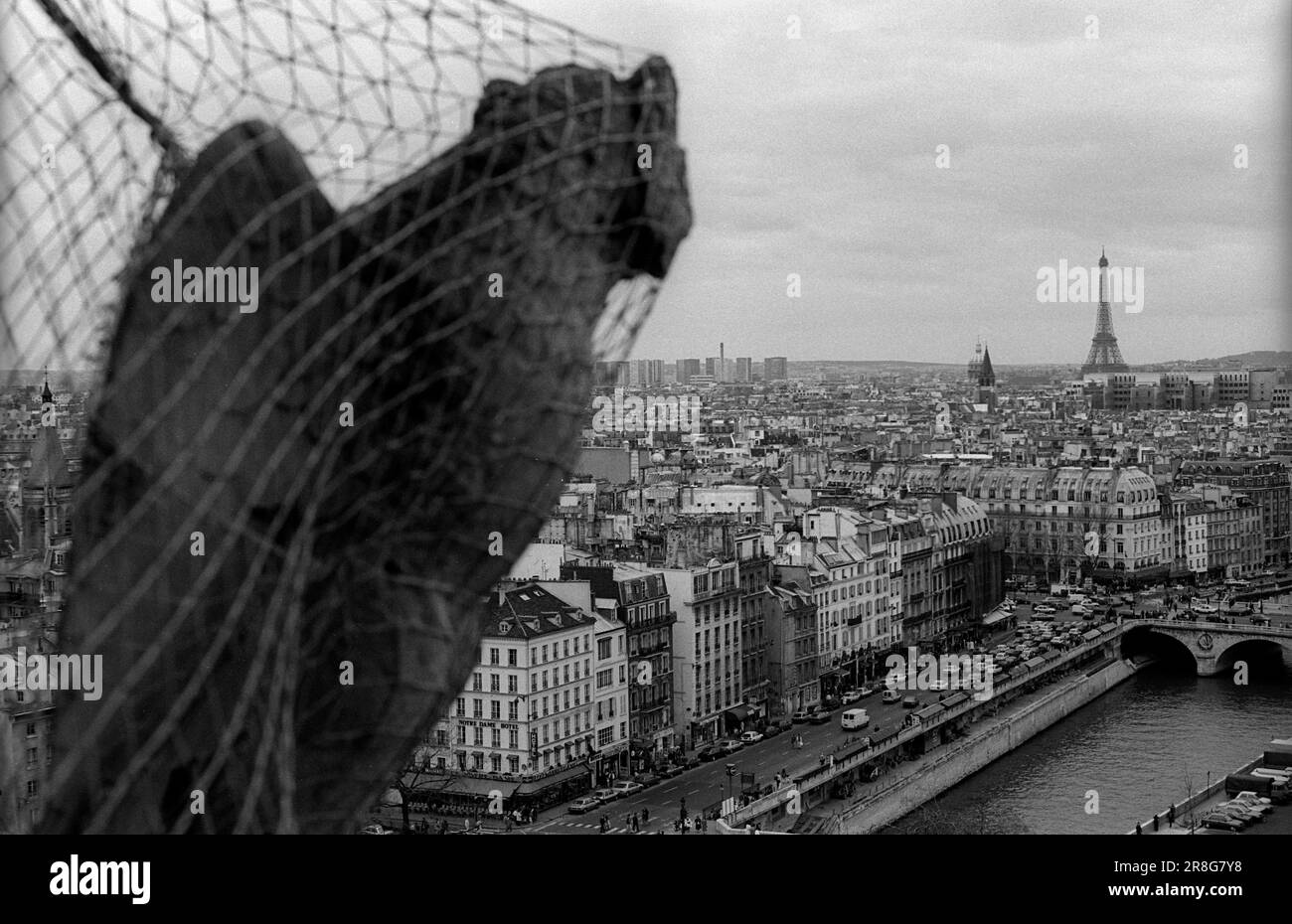 France, Paris, 24.03.1990, mythical creatures on the towers of Notre-Dame Stock Photo