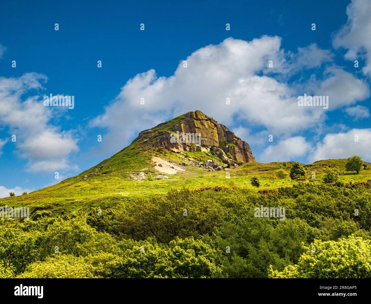 Looking West towards the iconic shape of Roseberry Topping. North Yorkshire. UK Stock Photo