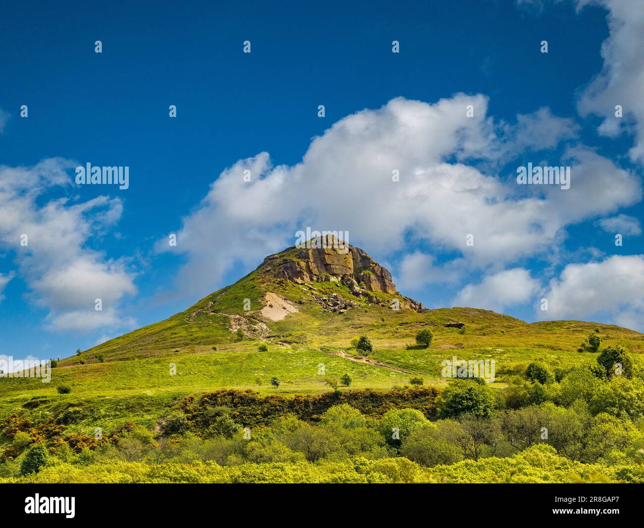 Looking West towards the iconic shape of Roseberry Topping. North Yorkshire. UK Stock Photo