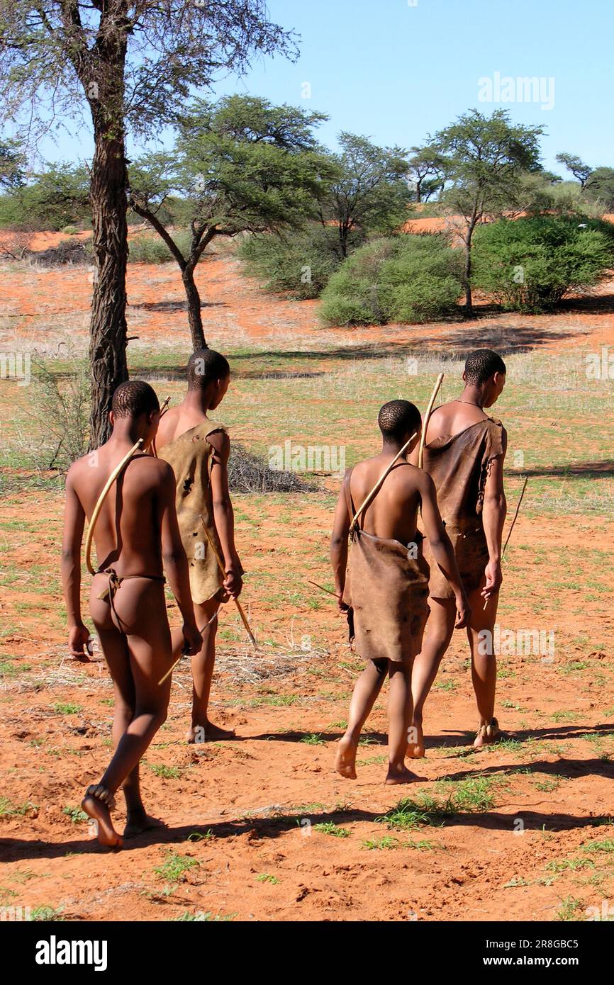 Bushmen, Africa Kalahari Game Reserve, Namibia Stock Photo