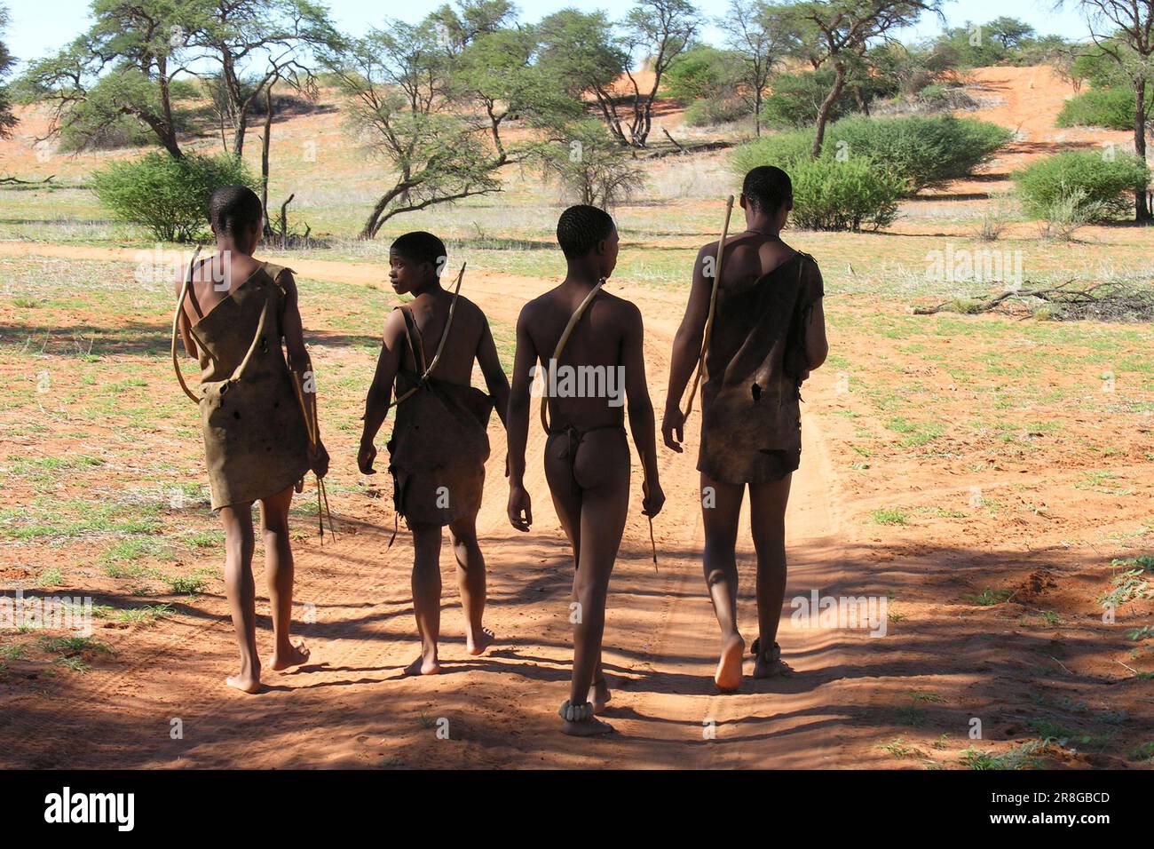 Bushmen, Africa Kalahari Game Reserve, Namibia Stock Photo