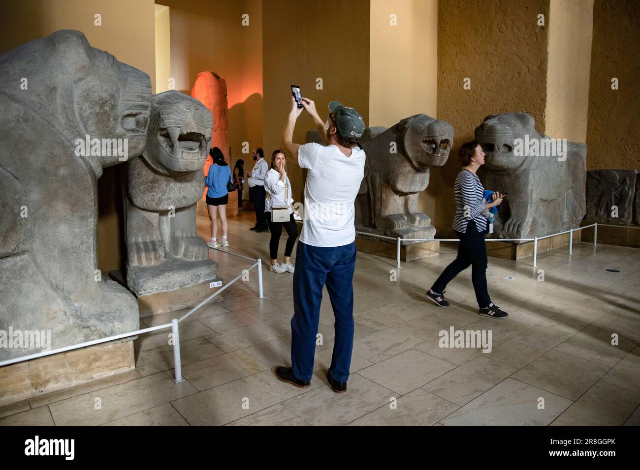 Visitors stand by the Gate Lions from Samal/Zincirli from the 10th-8th century B.C. in the Middle East Museum at the Pergamon Museum in Berlin, Germany on June 15, 2023. The Pergamon is planned to close to visitors for a radical renovation beginning October 23, 2023 and is scheduled to partially reopen by 2027.  (Photo by Emmanuele Contini/NurPhoto) Stock Photo