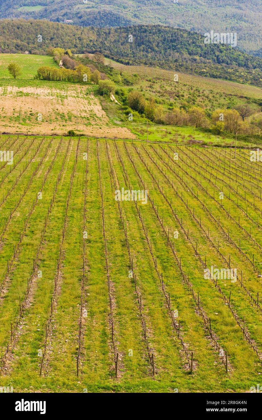 Landscape Near Montecchio, Umbria, Italy Stock Photo