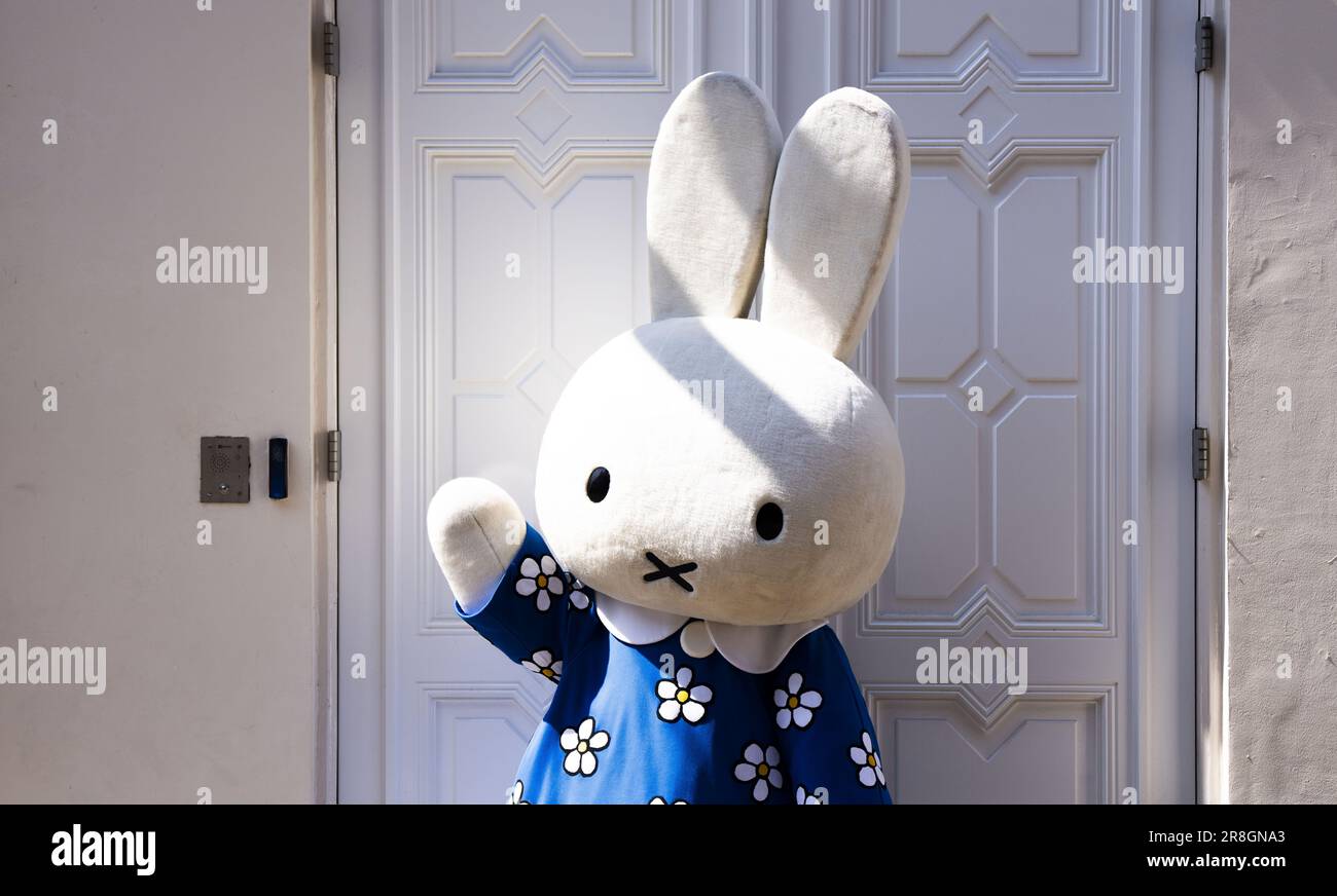 UTRECHT - 21/06/2023, Miffy during the opening of the renewed Miffy museum.  After the opening in 2016, the museum quickly turned out to be too small  and has now been expanded with