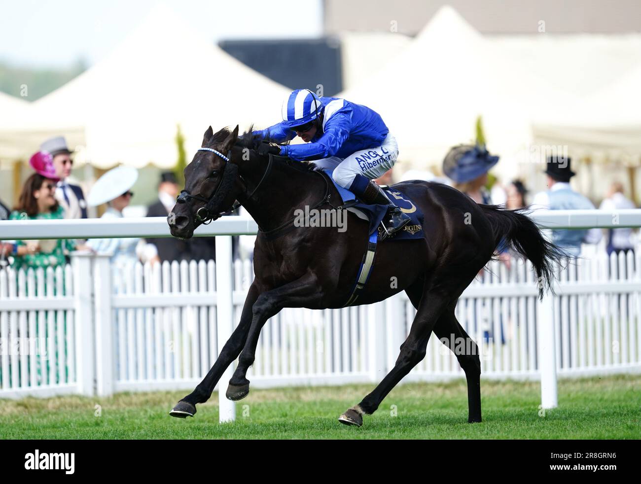 Mostahdaf royal ascot hi-res stock photography and images - Alamy
