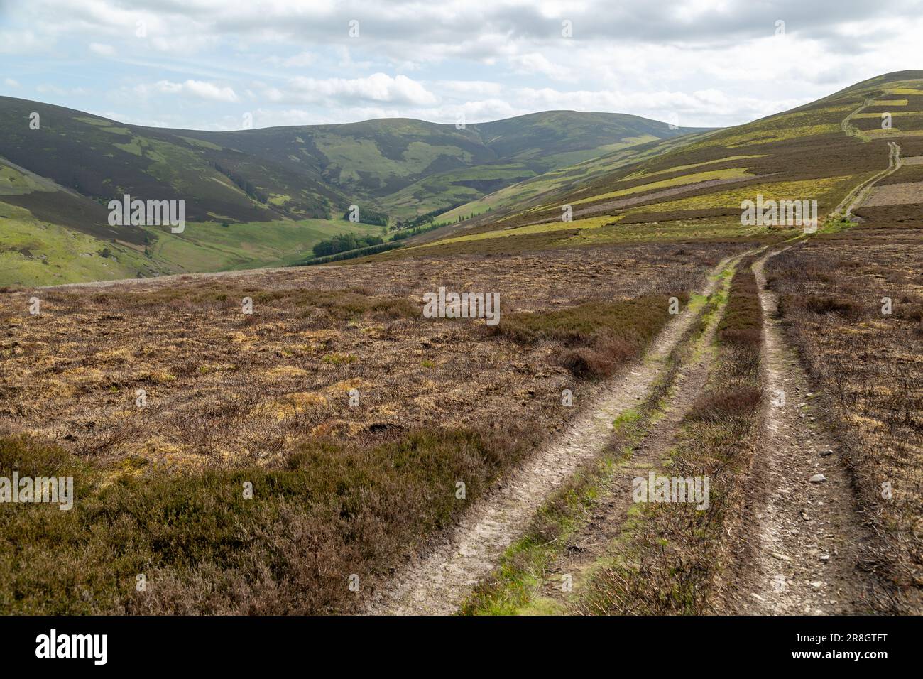 A track on Hundleshope hill in Glensax near Peebles in the Scottish Borders Stock Photo