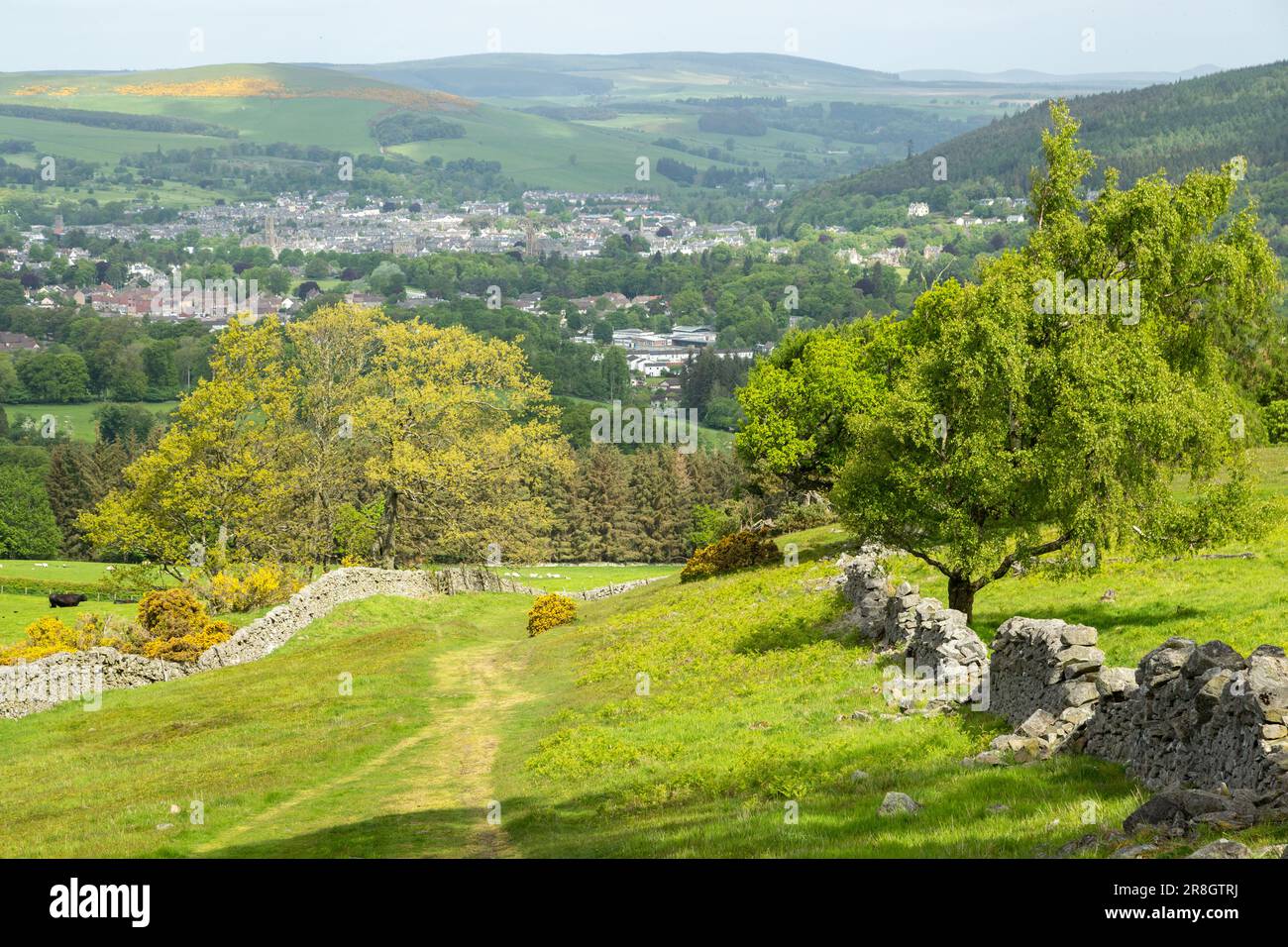 looking back to Peebles from Kailzie Hill along the Cross Borders Drove