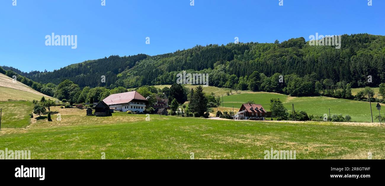 Homestead in the Black Forrest in the southwest of Germany Stock Photo