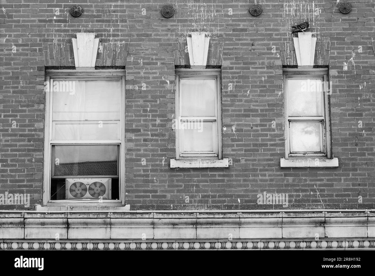 Traditional windows and architecture with bird droppings and pigeon in Seattle Stock Photo