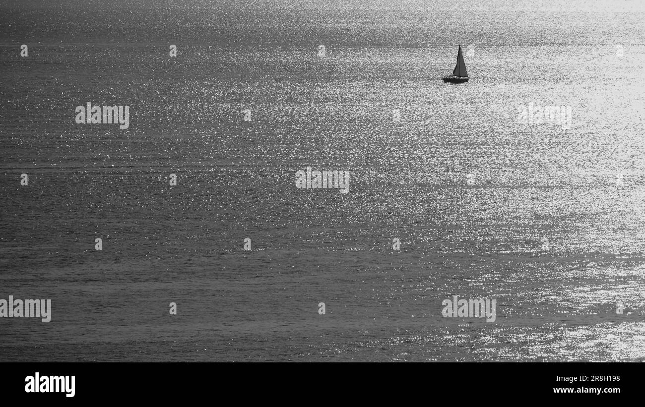 Single sailboat on calm sea in black and white Stock Photo