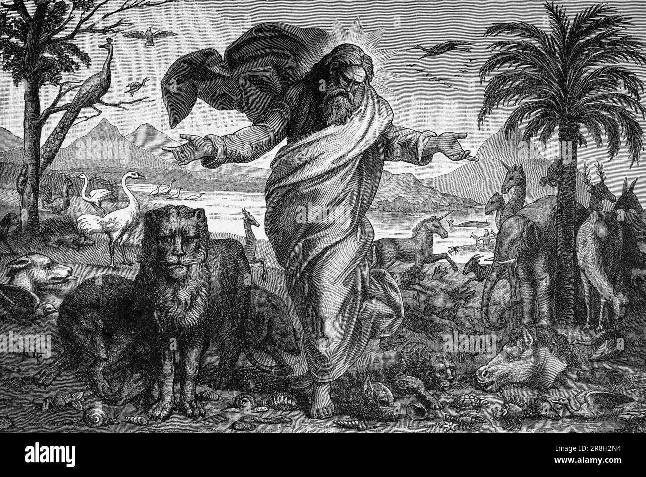 Fifth day of creation,  Psalm 8, Old Testament, Bible, historic illustration 1890 Stock Photo