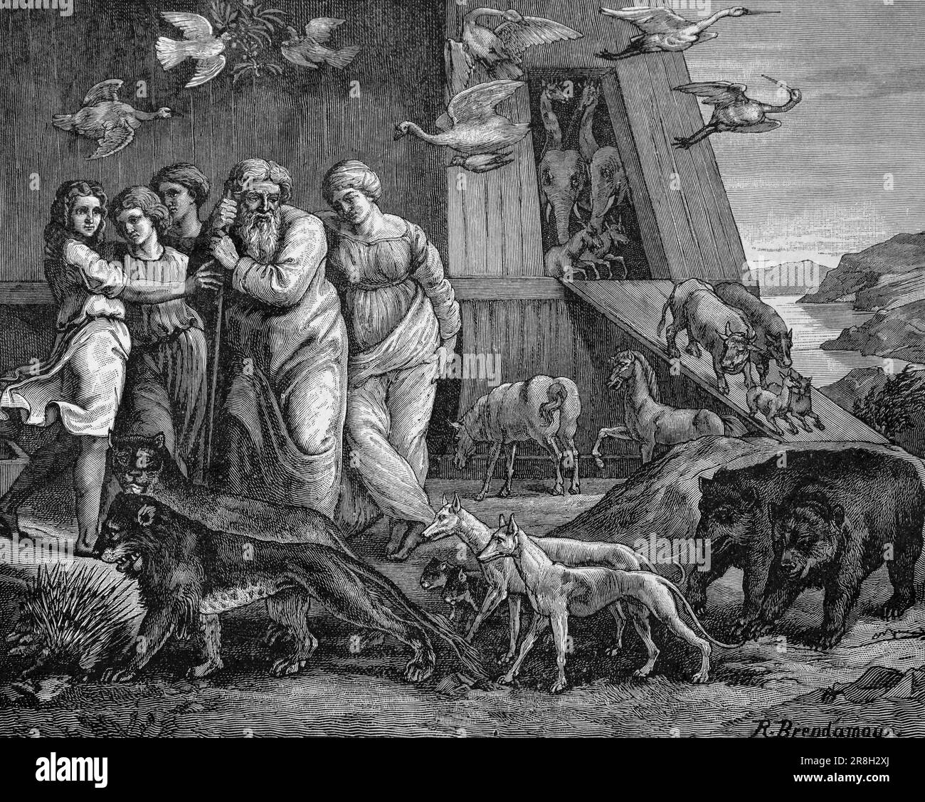 Noah leaves the Ark, First Book Mose,chapterl 8, Vers13, Old Testament, Bible, historic illustration 1890 Stock Photo