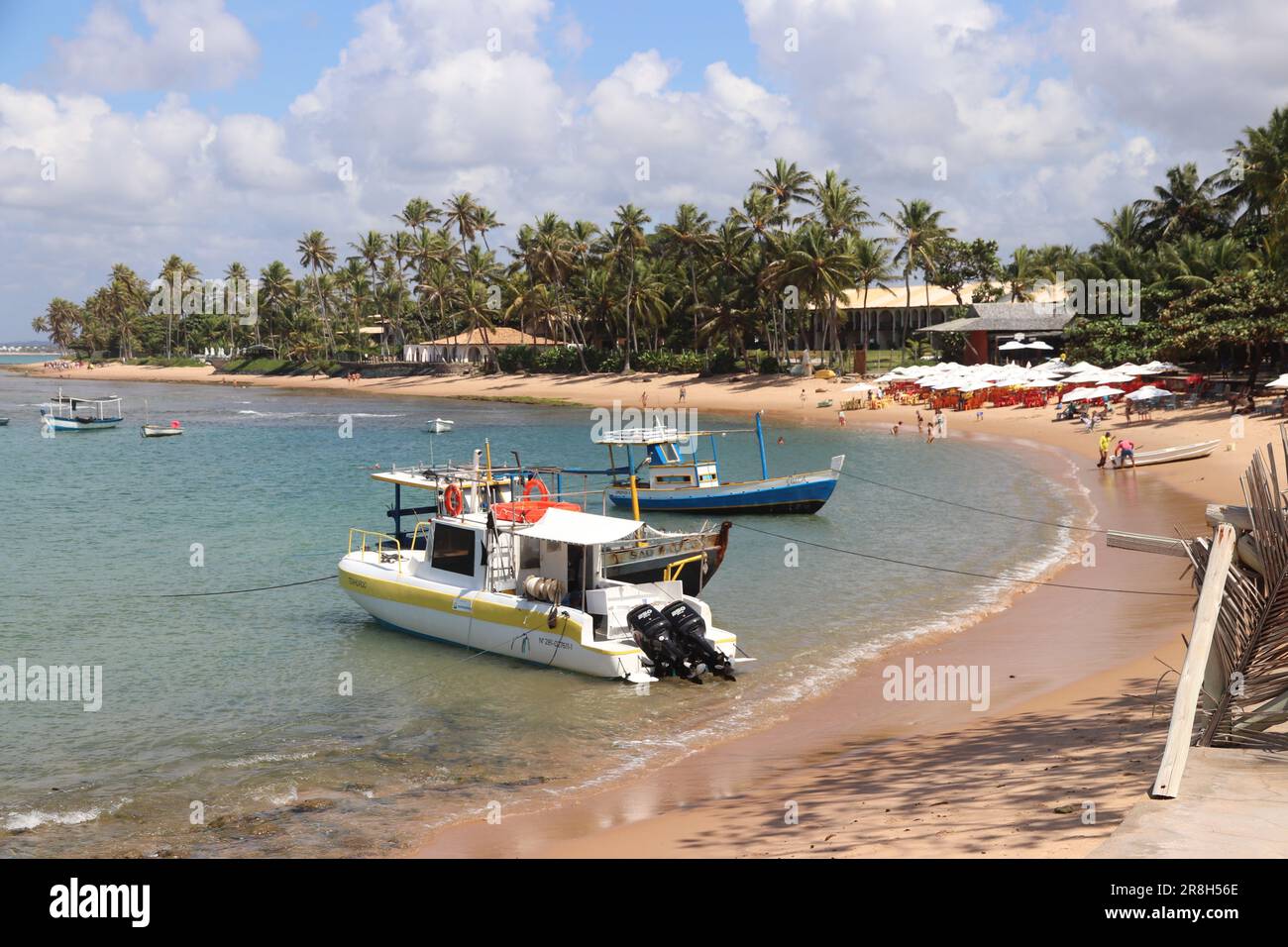Caipirinha brazil flag hi-res stock photography and images - Alamy