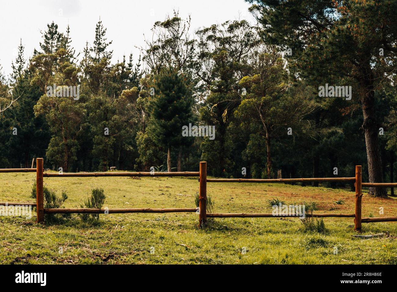 Countryside View Simple Simple outdoor setting hi-res stock photography and images - Alamy