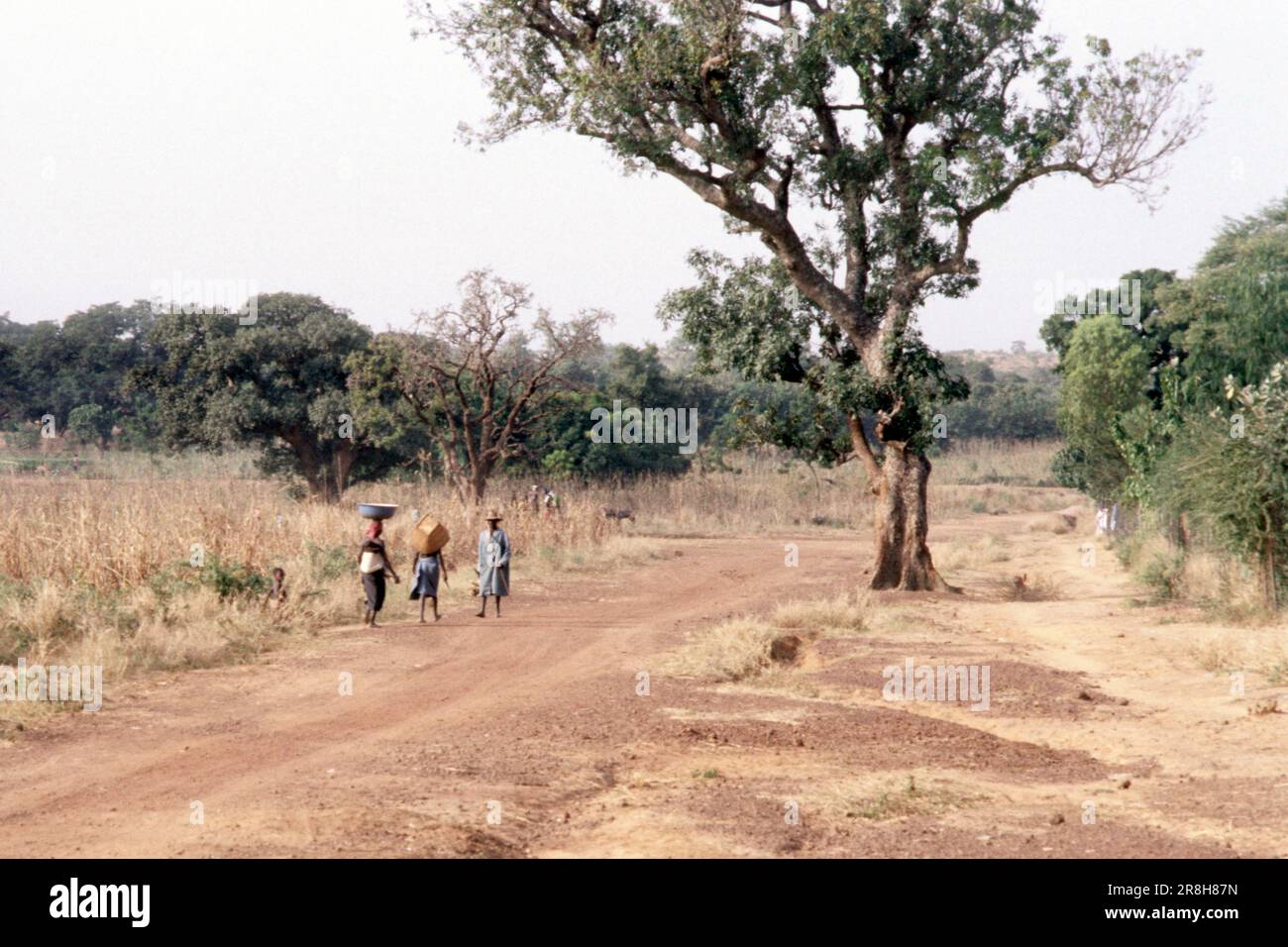 Saheliano Landscape. Ouagadougou. Burkina Faso. Africa Stock Photo
