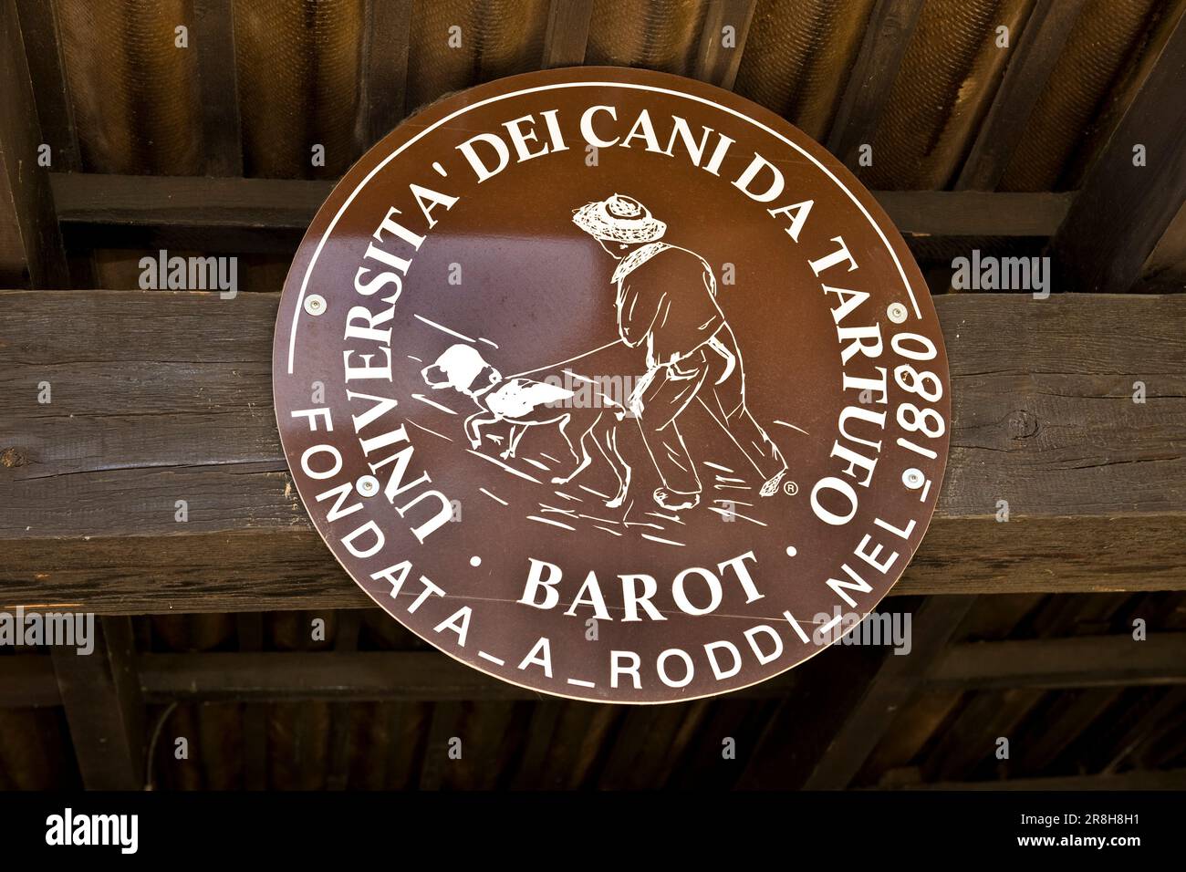 University of Truffle Dogs. Roddi. Piedmont. Italy Stock Photo Alamy