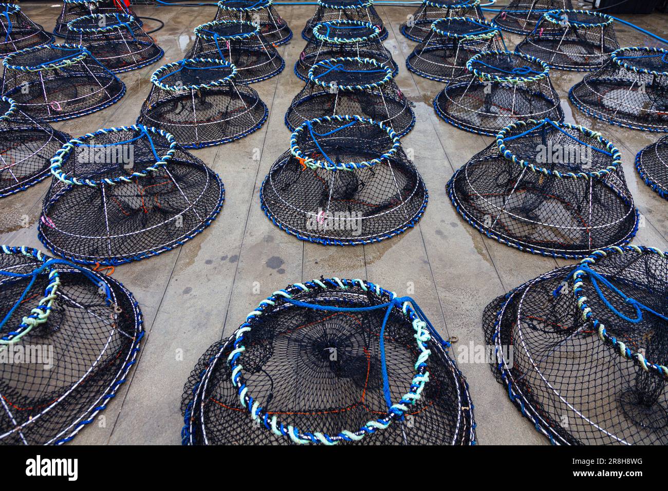 Spot Prawn traps being sorted and cleaned at the end of the season in