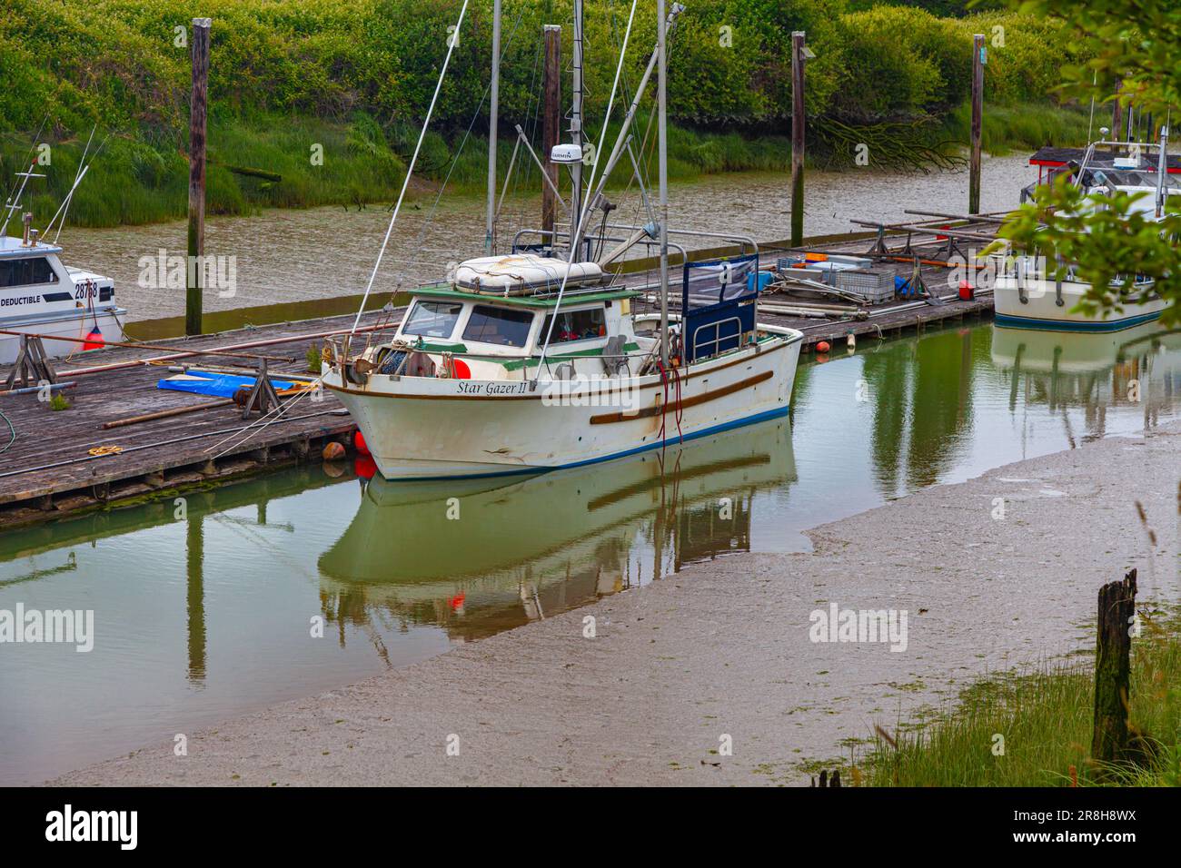 Extreme low tide in Scotch Pond in Steveston British Columbia Canada Stock Photo
