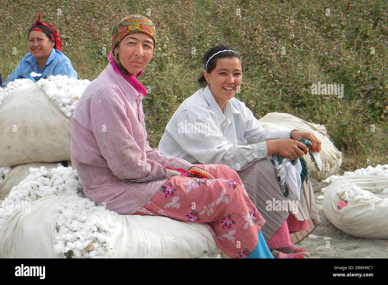 Cotton Workers. Uzbekistan Stock Photo