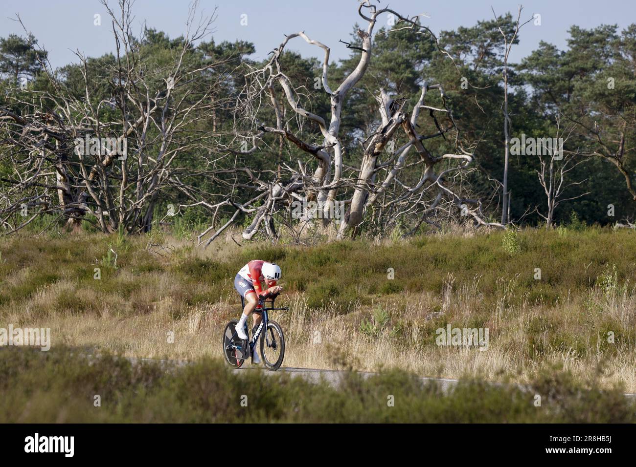 ELSPEET - Cyclist Daan Hoole during the Dutch time trial championship. The riders rode two laps of approximately 20 kilometers between the meadows and forest paths of the Veluwe. ANP BAS CZERWINSKI netherlands out - belgium out Stock Photo