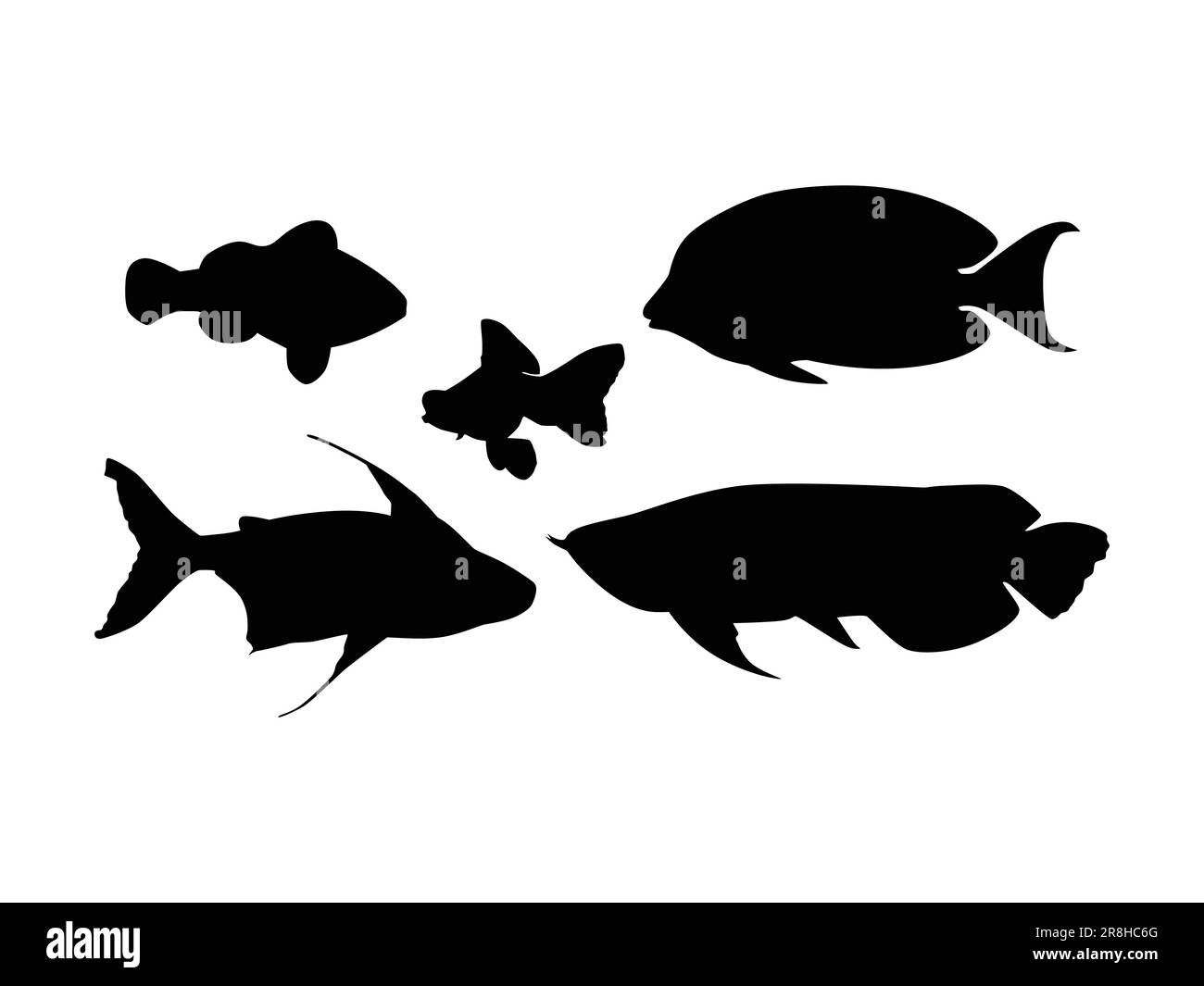 Set of Fishes Silhouette Isolated on a white background - Vector Illustration Stock Vector