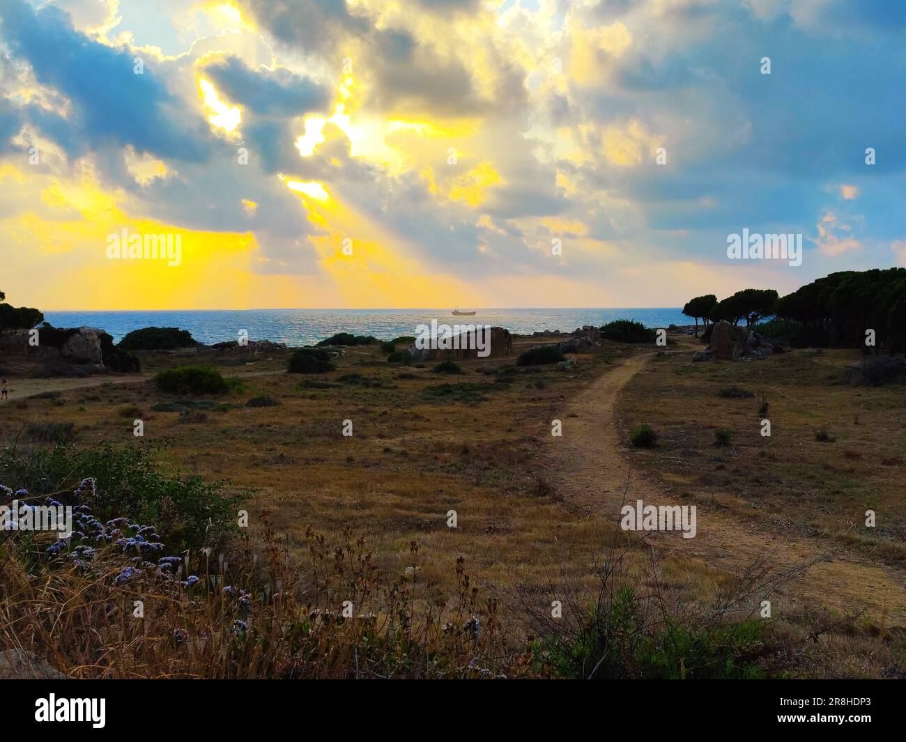 Travel in Cyprus Limassol, Ayia Napa, Paphos, Nicosia and more Stock Photo Alamy